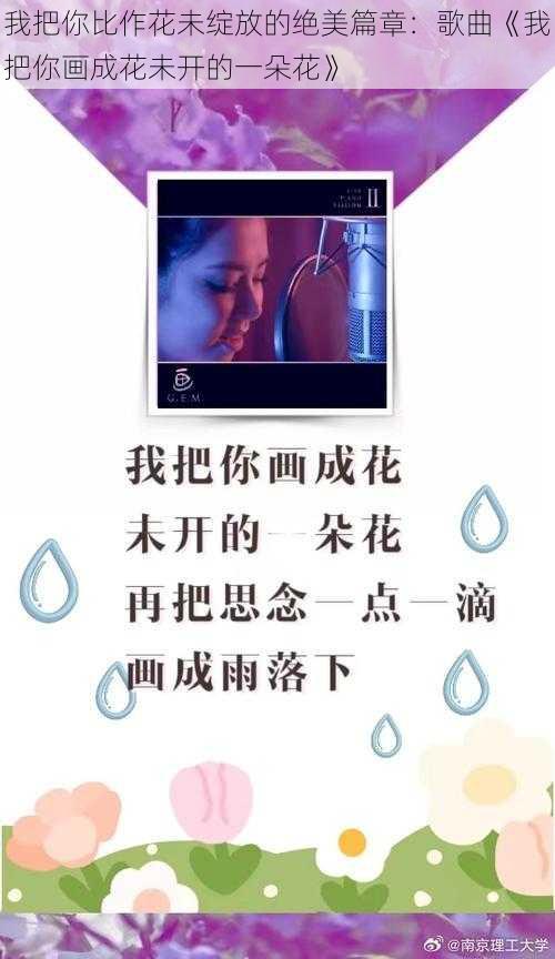 我把你比作花未绽放的绝美篇章：歌曲《我把你画成花未开的一朵花》