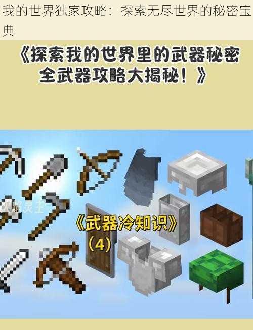 我的世界独家攻略：探索无尽世界的秘密宝典