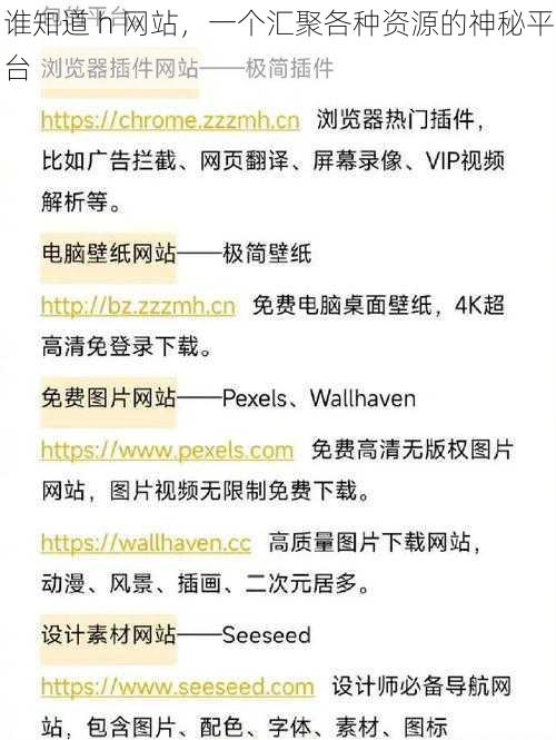 谁知道 h 网站，一个汇聚各种资源的神秘平台