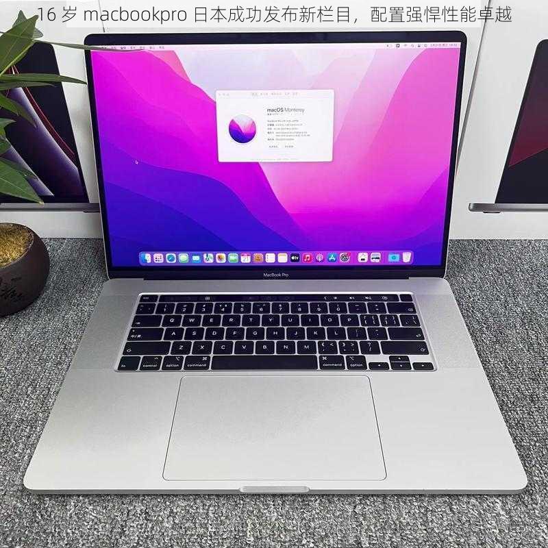 16 岁 macbookpro 日本成功发布新栏目，配置强悍性能卓越