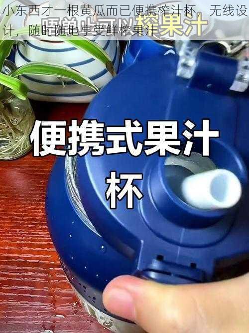 小东西才一根黄瓜而已便携榨汁杯，无线设计，随时随地享受鲜榨果汁