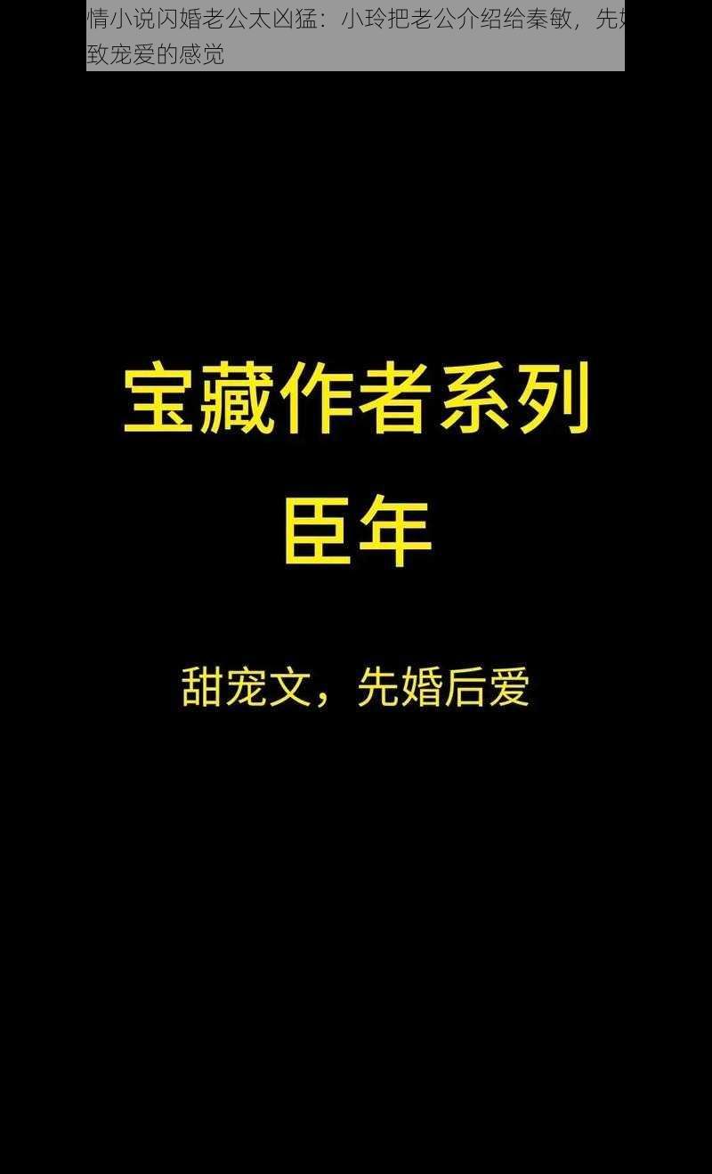 现代言情小说闪婚老公太凶猛：小玲把老公介绍给秦敏，先婚后爱，体验极致宠爱的感觉