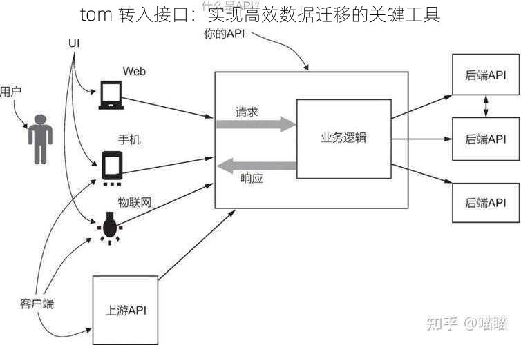 tom 转入接口：实现高效数据迁移的关键工具