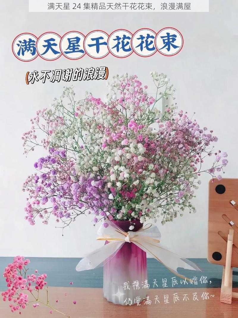 满天星 24 集精品天然干花花束，浪漫满屋