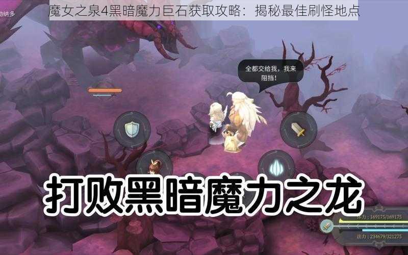 魔女之泉4黑暗魔力巨石获取攻略：揭秘最佳刷怪地点