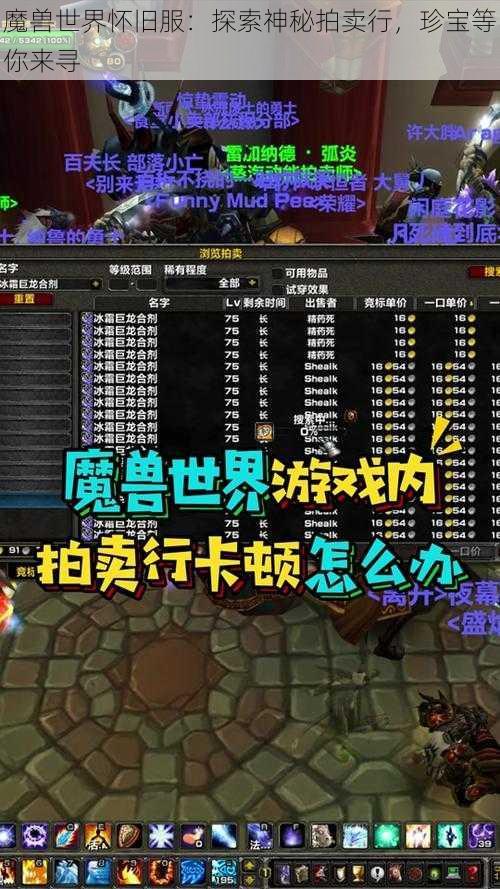 魔兽世界怀旧服：探索神秘拍卖行，珍宝等你来寻