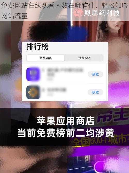 免费网站在线观看人数在哪软件，轻松知晓网站流量