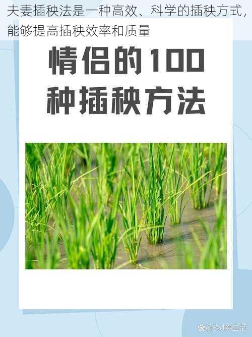 夫妻插秧法是一种高效、科学的插秧方式，能够提高插秧效率和质量