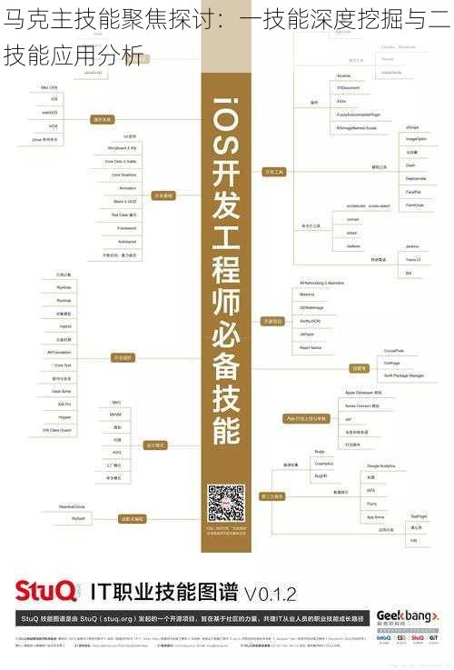 马克主技能聚焦探讨：一技能深度挖掘与二技能应用分析