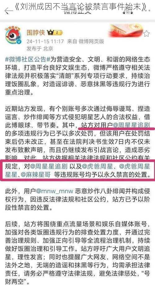 《刘洲成因不当言论被禁言事件始末》