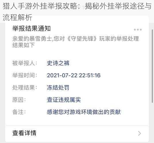 猎人手游外挂举报攻略：揭秘外挂举报途径与流程解析