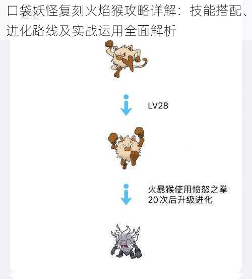 口袋妖怪复刻火焰猴攻略详解：技能搭配、进化路线及实战运用全面解析