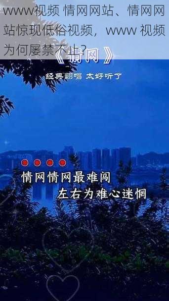 www视频 情网网站、情网网站惊现低俗视频，www 视频为何屡禁不止？