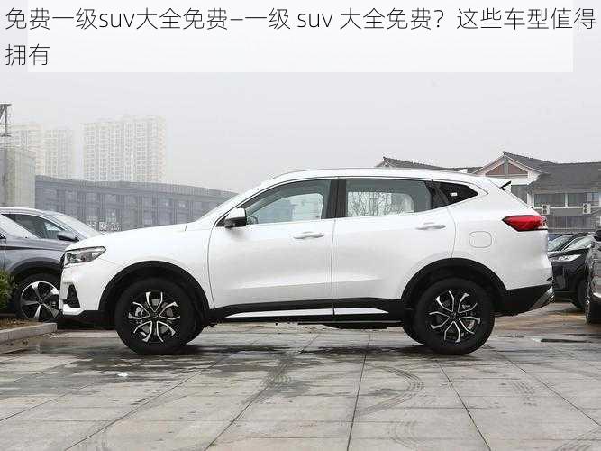 免费一级suv大全免费—一级 suv 大全免费？这些车型值得拥有