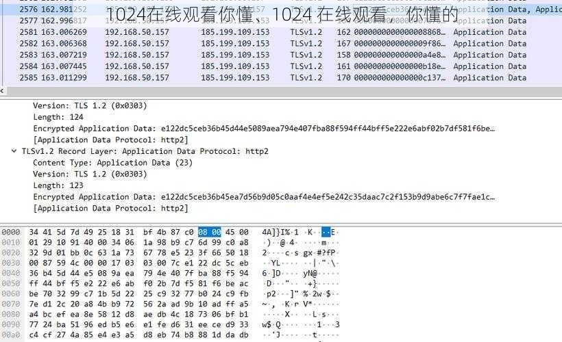 1024在线观看你懂、1024 在线观看，你懂的