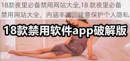 18款夜里必备禁用网站大全,18 款夜里必备禁用网站大全，内涵丰富，注意保护个人隐私