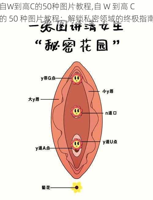 自W到高C的50种图片教程,自 W 到高 C 的 50 种图片教程：解锁私密领域的终极指南