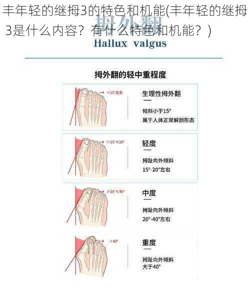 丰年轻的继拇3的特色和机能(丰年轻的继拇 3是什么内容？有什么特色和机能？)