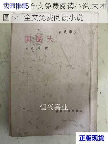 大团圆5全文免费阅读小说,大团圆 5：全文免费阅读小说