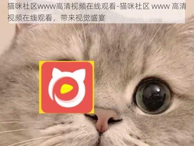 猫咪社区www高清视频在线观看-猫咪社区 www 高清视频在线观看，带来视觉盛宴