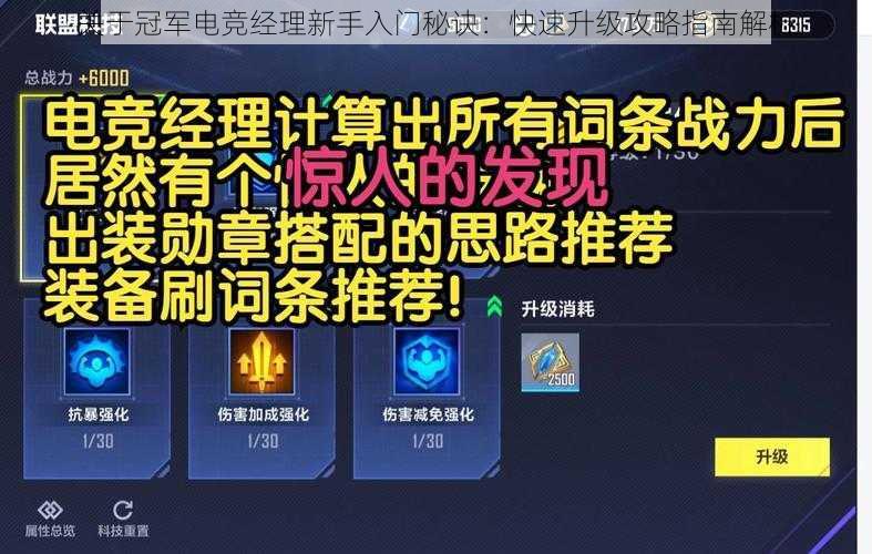 关于冠军电竞经理新手入门秘诀：快速升级攻略指南解析