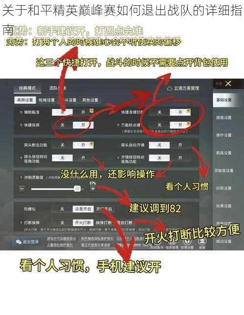 关于和平精英巅峰赛如何退出战队的详细指南