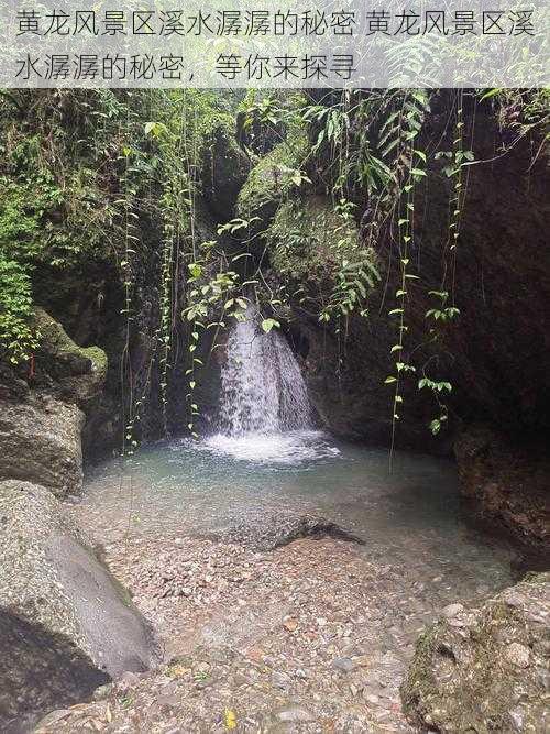 黄龙风景区溪水潺潺的秘密 黄龙风景区溪水潺潺的秘密，等你来探寻