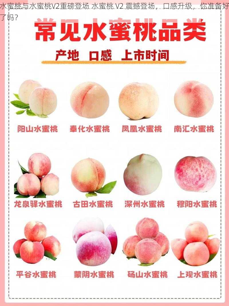 水蜜桃与水蜜桃V2重磅登场 水蜜桃 V2 震撼登场，口感升级，你准备好了吗？