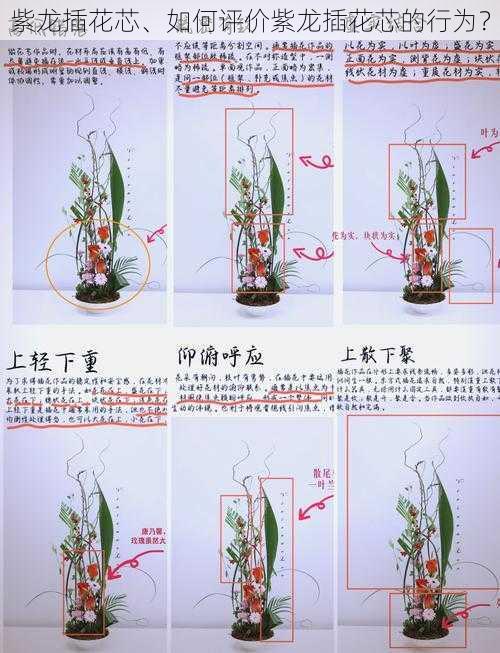 紫龙插花芯、如何评价紫龙插花芯的行为？