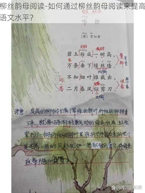 柳丝韵母阅读-如何通过柳丝韵母阅读来提高语文水平？