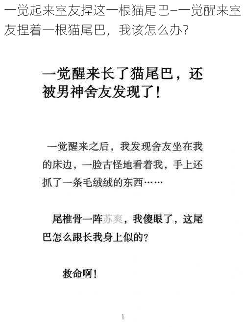 一觉起来室友捏这一根猫尾巴—一觉醒来室友捏着一根猫尾巴，我该怎么办？