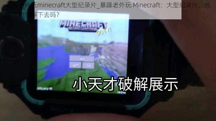 暴躁老外玩minecraft大型纪录片_暴躁老外玩 Minecraft：大型纪录片，他能成功生存下去吗？