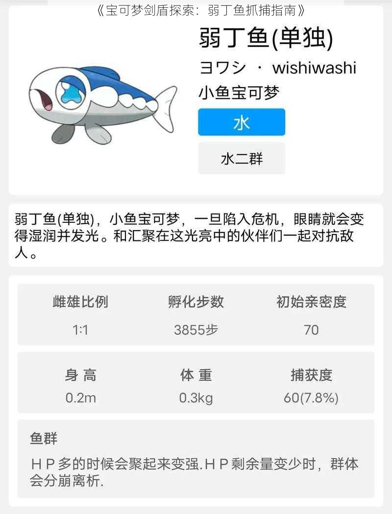 《宝可梦剑盾探索：弱丁鱼抓捕指南》
