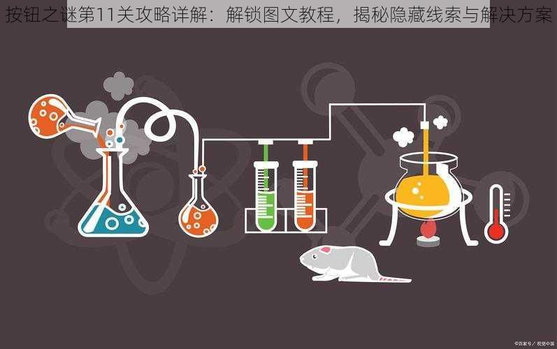 按钮之谜第11关攻略详解：解锁图文教程，揭秘隐藏线索与解决方案