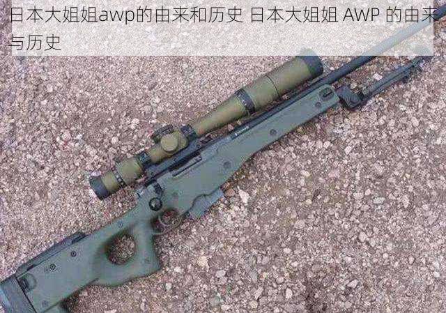 日本大姐姐awp的由来和历史 日本大姐姐 AWP 的由来与历史