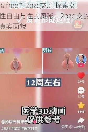 女free性2ozc交,：探索女性自由与性的奥秘：2ozc 交的真实面貌