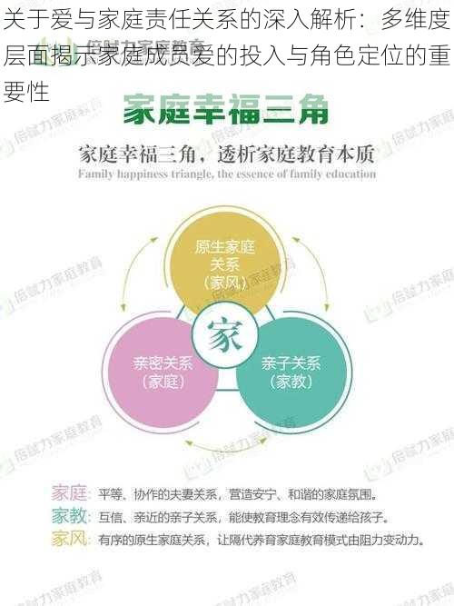 关于爱与家庭责任关系的深入解析：多维度层面揭示家庭成员爱的投入与角色定位的重要性