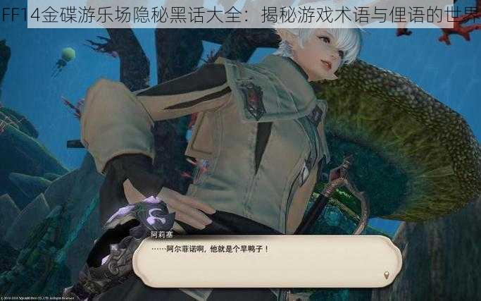 FF14金碟游乐场隐秘黑话大全：揭秘游戏术语与俚语的世界