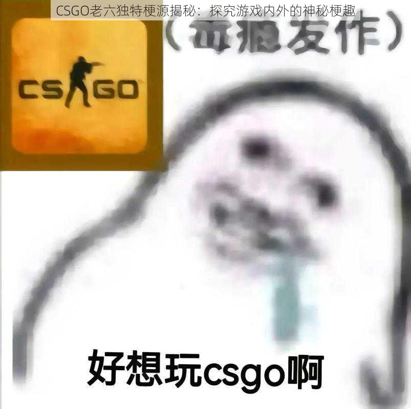 CSGO老六独特梗源揭秘：探究游戏内外的神秘梗趣