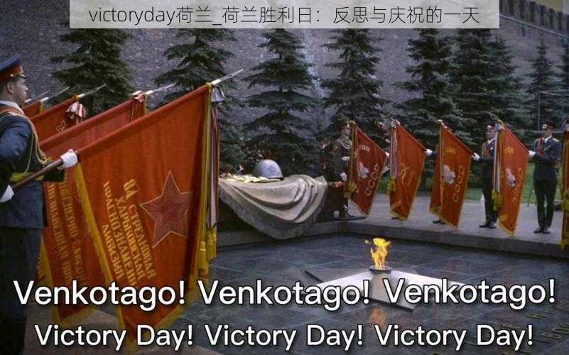 victoryday荷兰_荷兰胜利日：反思与庆祝的一天