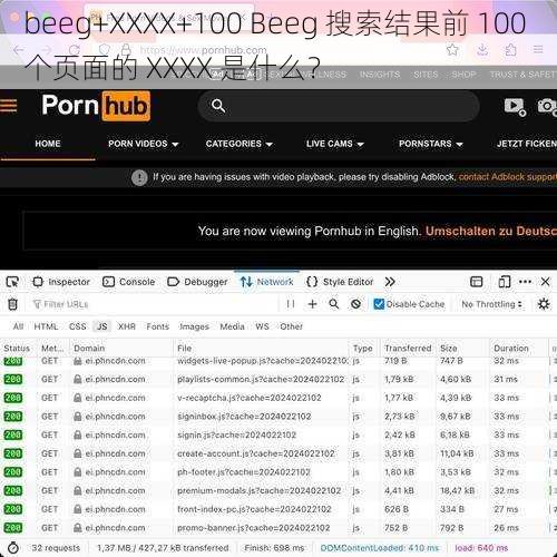 beeg+XXXX+100 Beeg 搜索结果前 100 个页面的 XXXX 是什么？