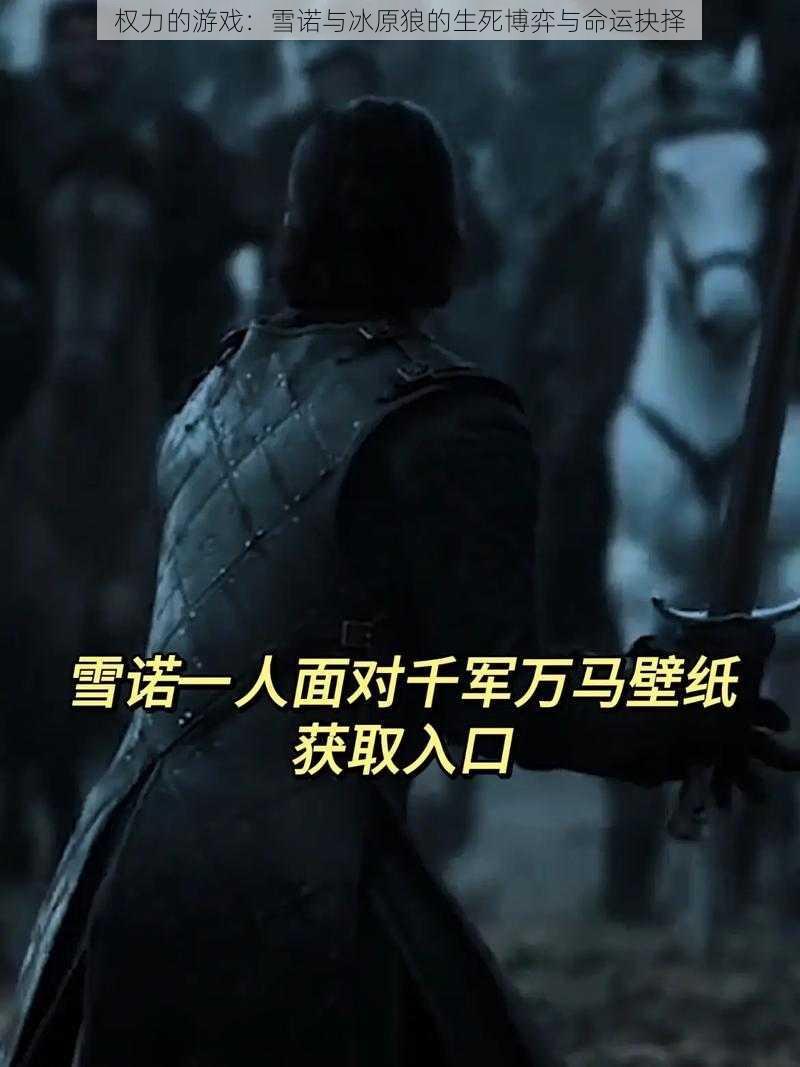 权力的游戏：雪诺与冰原狼的生死博弈与命运抉择