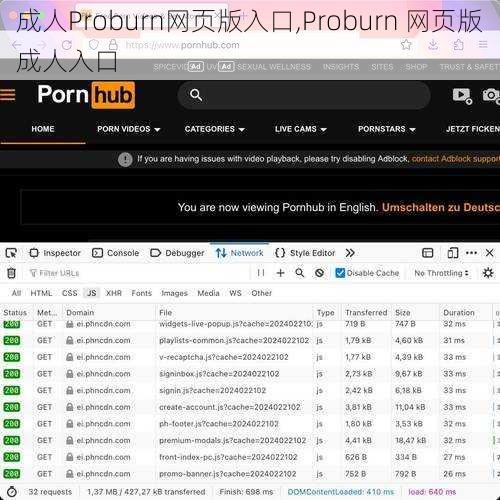 成人Proburn网页版入口,Proburn 网页版成人入口