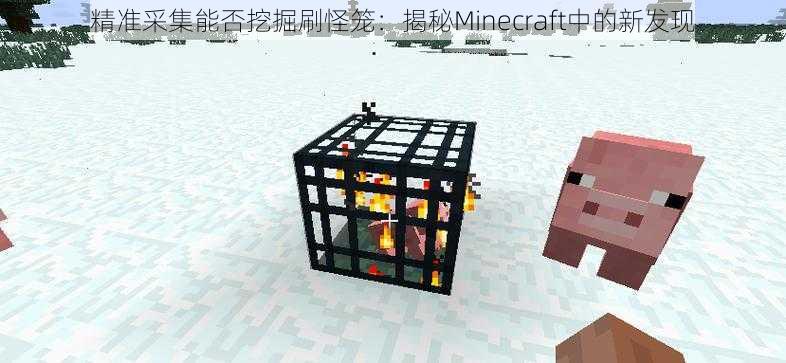 精准采集能否挖掘刷怪笼：揭秘Minecraft中的新发现