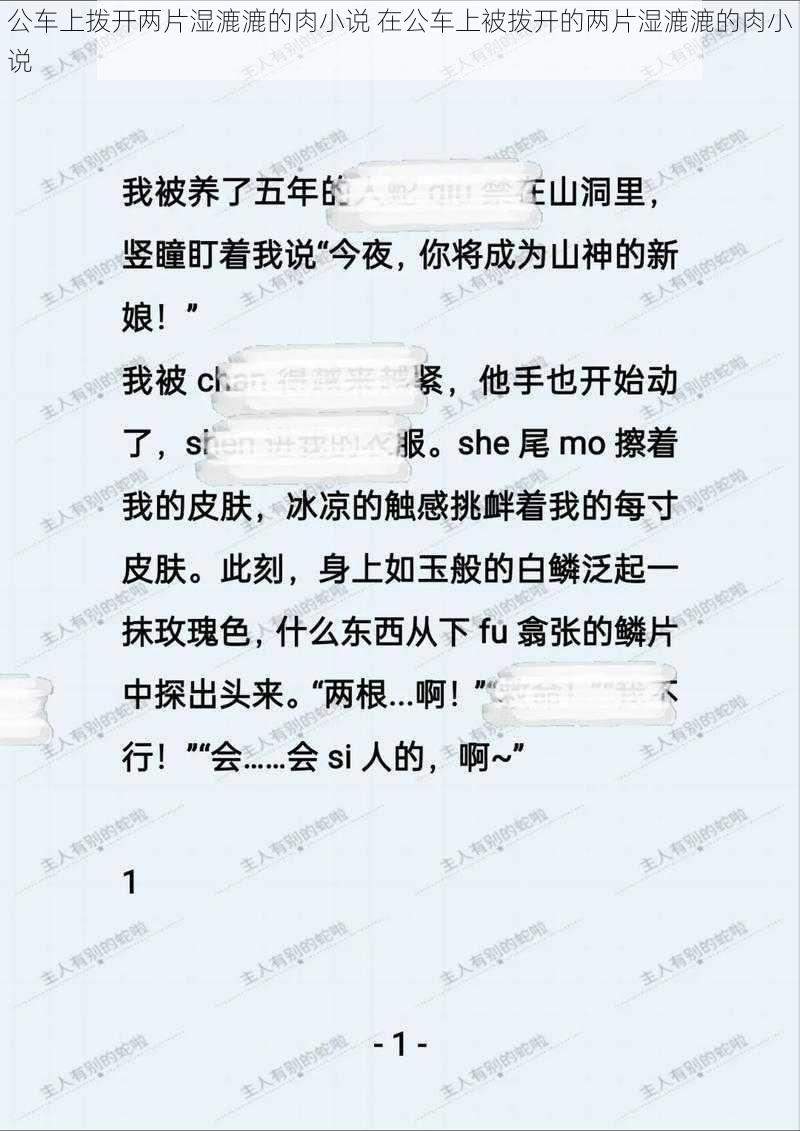 公车上拨开两片湿漉漉的肉小说 在公车上被拨开的两片湿漉漉的肉小说