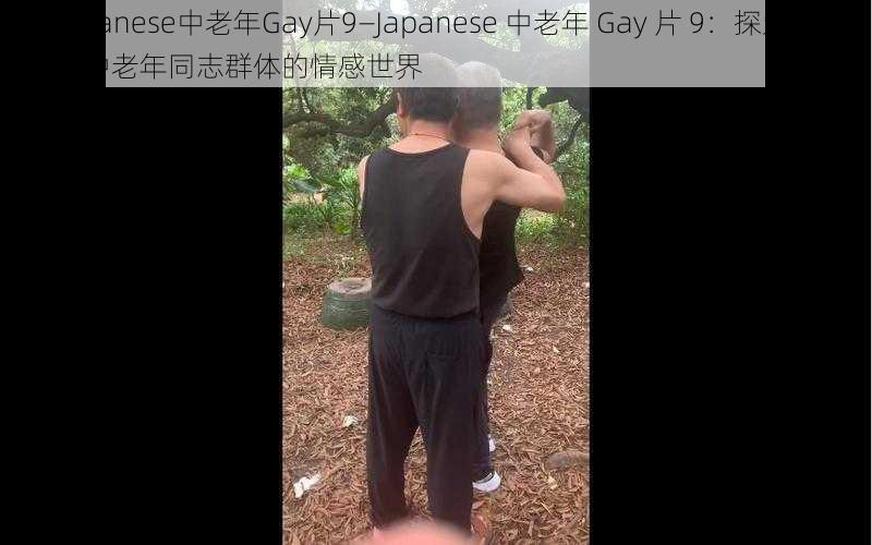 Japanese中老年Gay片9—Japanese 中老年 Gay 片 9：探索日本中老年同志群体的情感世界