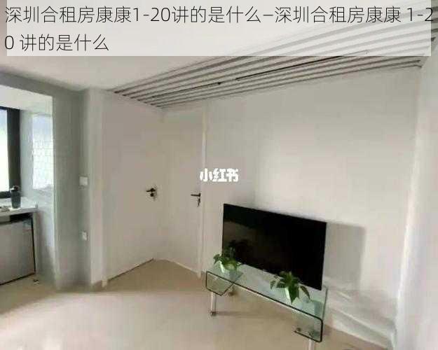 深圳合租房康康1-20讲的是什么—深圳合租房康康 1-20 讲的是什么