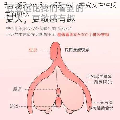 乳喷系列AV_乳喷系列 AV：探究女性性反应的奥秘