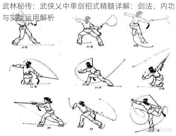 武林秘传：武侠乂中单剑招式精髓详解：剑法、内功与实战运用解析