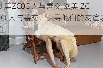 欧美ZC0O人与善交,欧美 ZC0O 人与善交，探寻他们的友谊之道